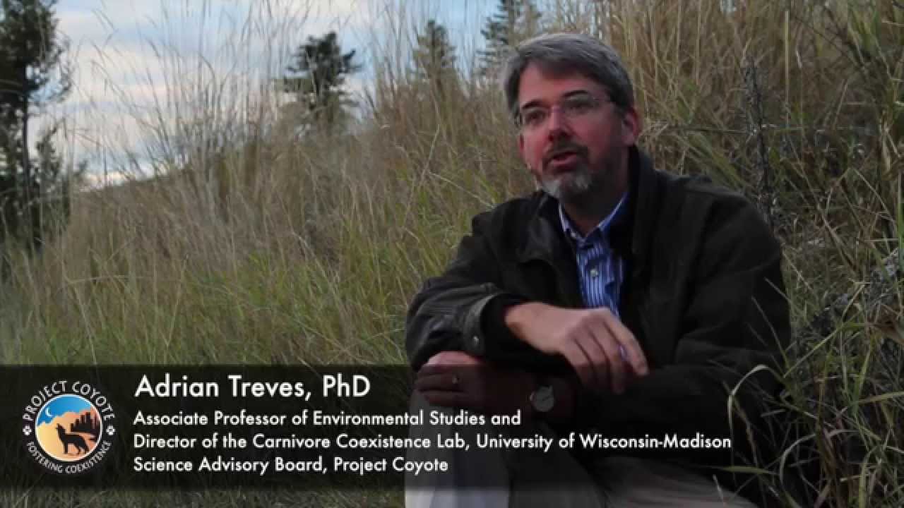 The Meaning of the Public Trust Doctrine