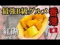 【香港駅名ルーレット#5🇭🇰】絶対に食べるべき『 香港 B級グルメ 』７選!!