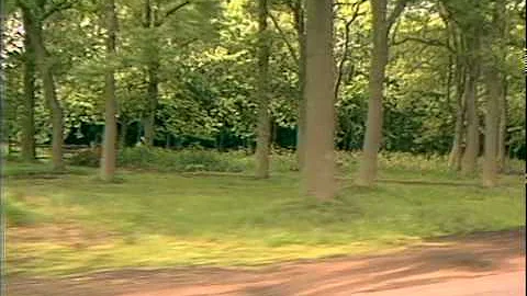 TN-89-180-009.m4v | Thames News Archive Footage