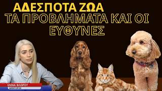 Τριτοκοσμικές συνθήκες για τα αδέσποτα ζώα οι ευθύνες Δήμων και Πολιτείας- Έλενα Φλώρου