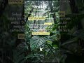 #goalsetting #growthmindset #quotes #successmindset #fypシ #shortvideo #reels #viral #motivation