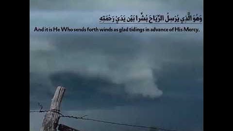 من سورة الأعراف.. القارئ محمد حسن أميرة