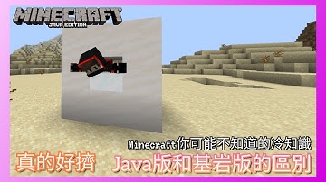 【Minecraft】Java版與基岩版的區別你知道幾個？