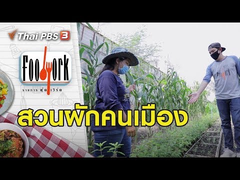 สวนผักคนเมือง : Foodwork (7 มิ.ย. 63)