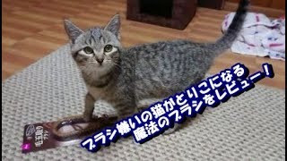 ブラシ嫌いな猫でもとりこになる魔法のブラシはこちらです。