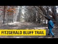 Fitzgerald Marine Reserve Bluff Trail