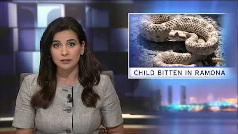 Thursday, Oct. 8, 2015 - Evening Edition