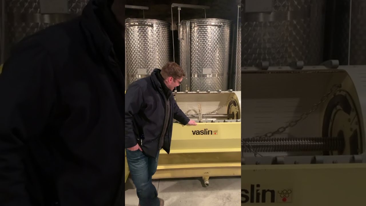 Pressing White Grapes - The Vaslin Press