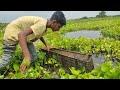 Traditional Fishing Technique // Fishing From Pond With Bamboo Tools Trap Fishing Video // Fishing.