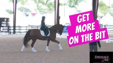 2 Exercises To Get Your Horse MORE On The Bit