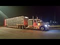 E cow truck