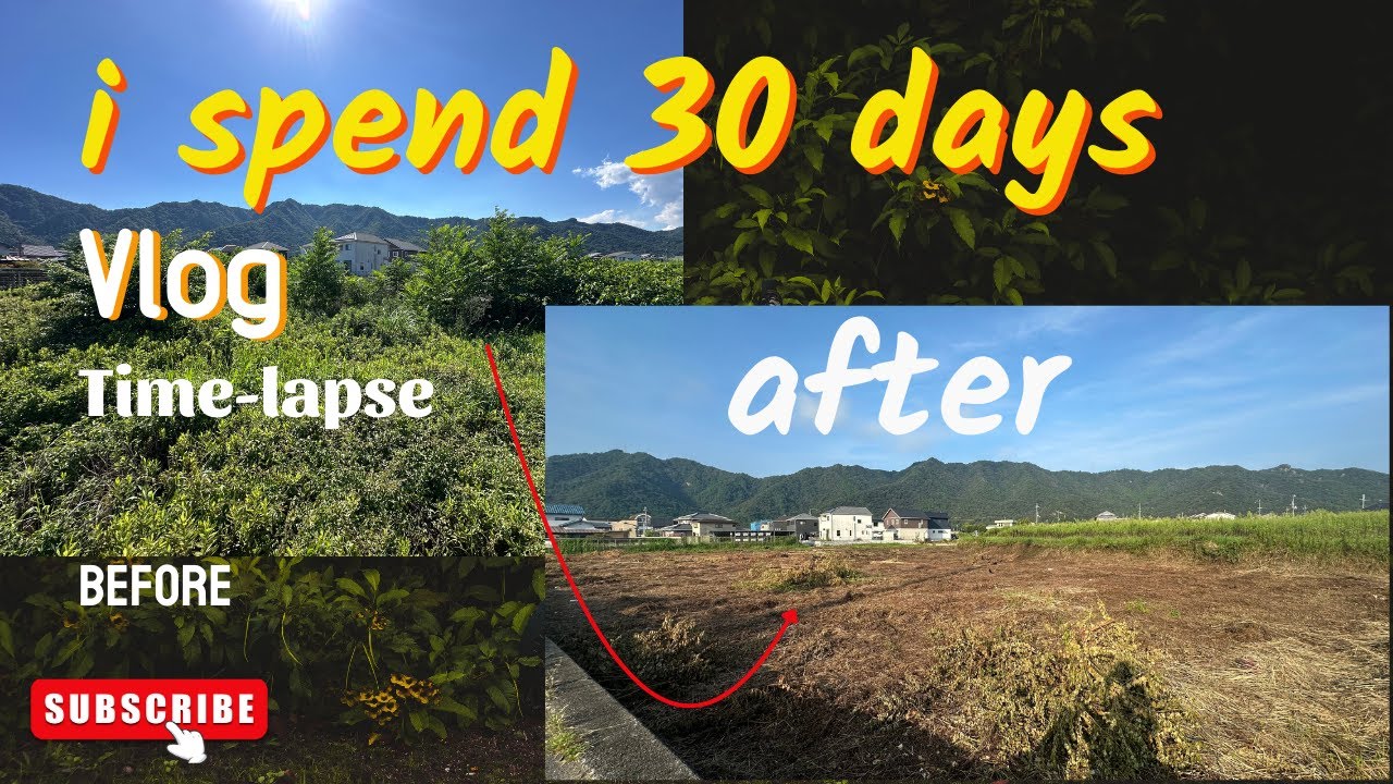 I spent 30 days// forest cutting