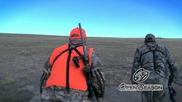 Antelope and CVA Apex with James Blankenbeckler from Open Season