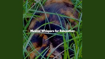 Subtle Moods for Co-Working Space