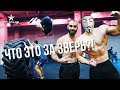 ГРОМИЛА НАРУШАЕТ ЗАКОНЫ ГРАВИТАЦИИ! НОВЫЙ ЗВЕРЬ НА FITSTARS