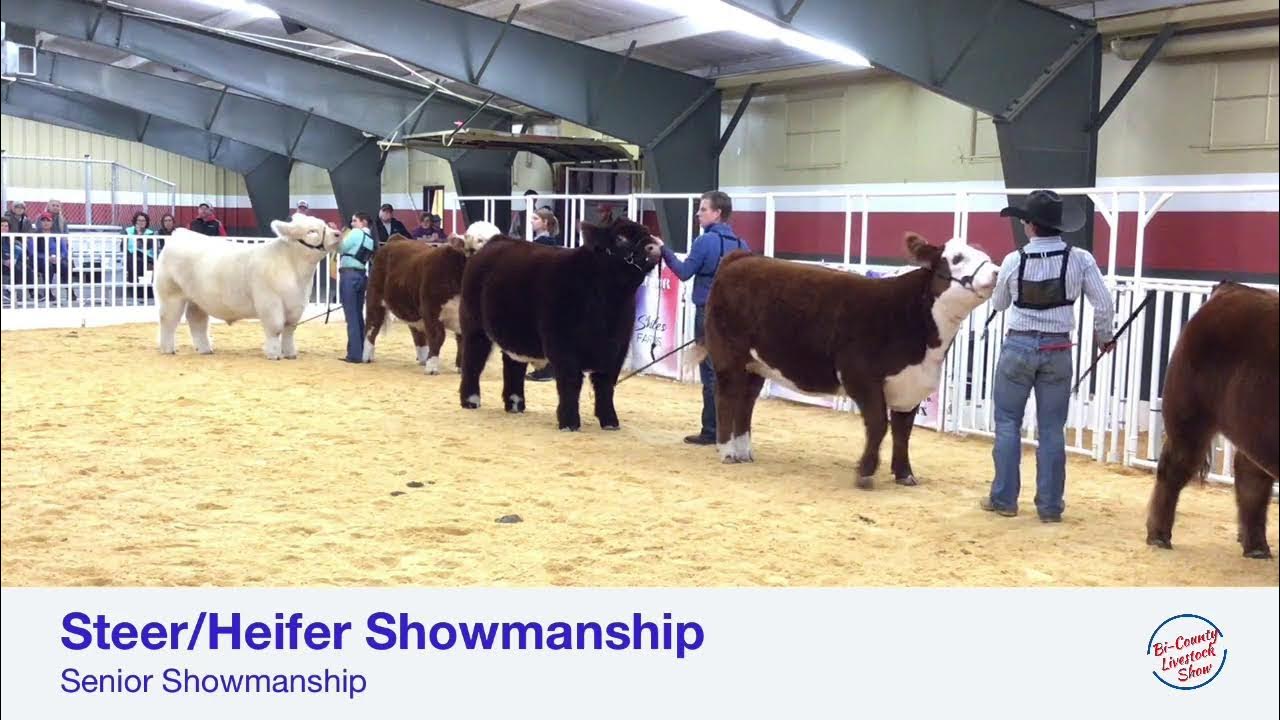 January 11, 2023 Cattle Show YouTube