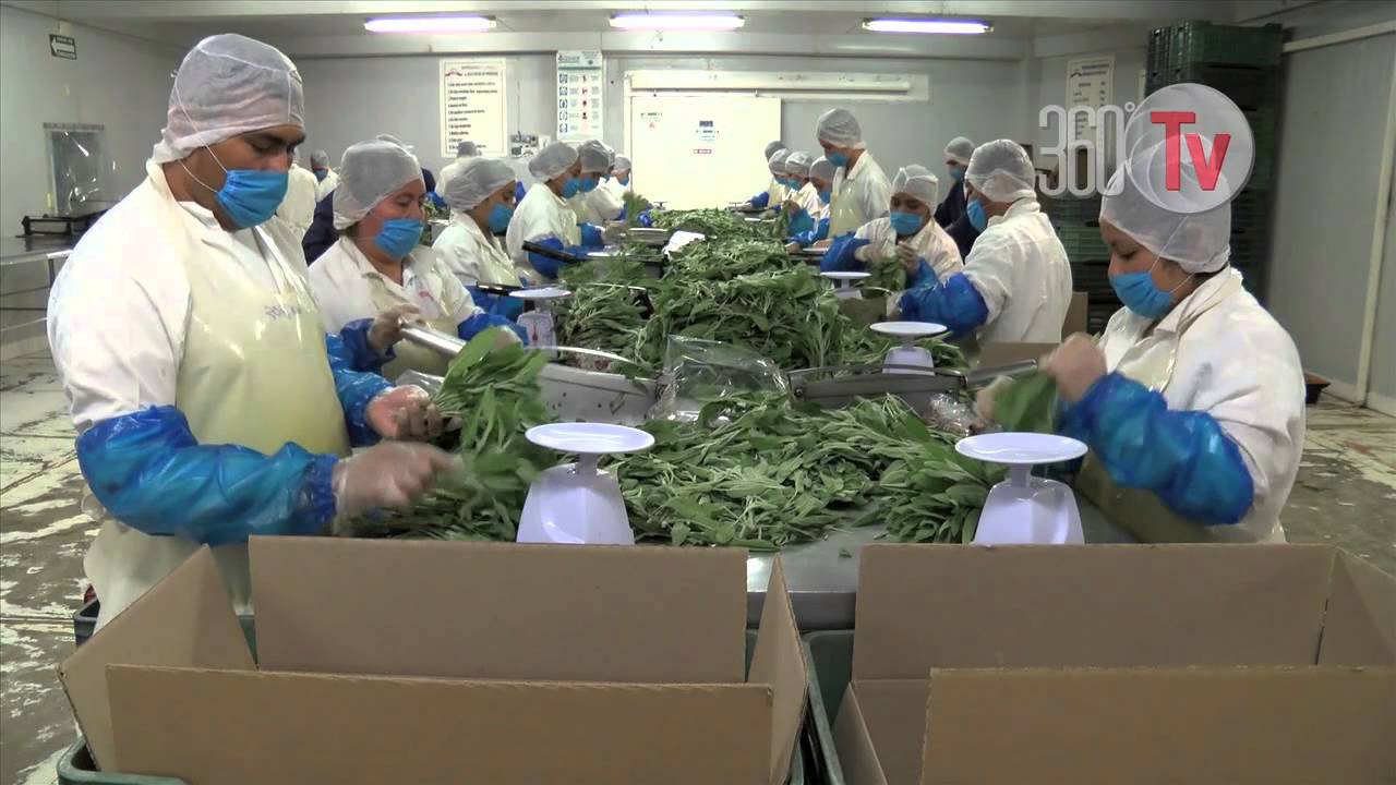 Reforma estructural del campo.