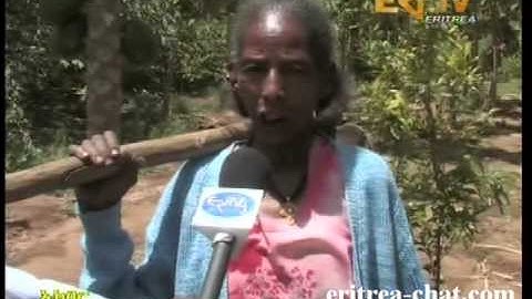 Eritrea TV Akhbar Tigre Geza Keren Mesel Senyet Lat Hirestay