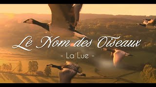 LA LUE - Le Nom des Oiseaux (clip officiel)