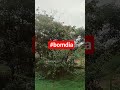 Deus abençoe vcs 🍃🌺
