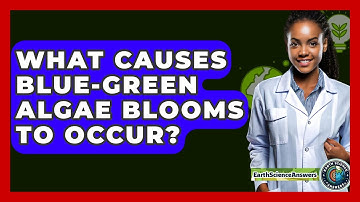 What Causes Blue-green Algae Blooms To Occur? - Earth Science Answers