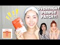 How To Treat Pimples FAST like Korean Celebrities! *affordable* 👶🏻