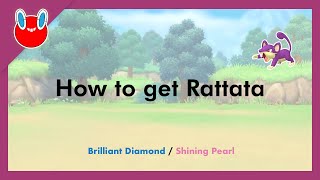 How to get Rattata in Pokémon Brilliant Diamond & Shining Pearl [#019]