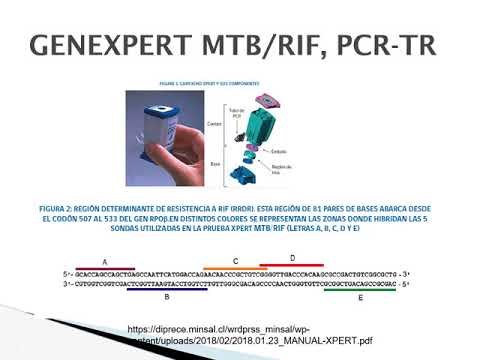 Vídeo: Un Método De Detección De PCR Digital De Gotas Para Inserciones Raras De L1 En Tumores