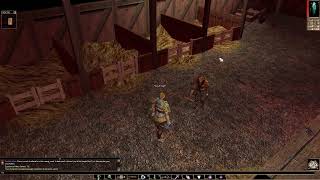Journey Back to the Forgotten Realms: Neverwinter Nights Diamond Edition Adventure