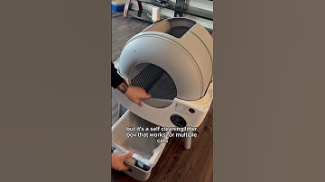 This automatic cat litter box is life changing 🥹😽#catshorts  #automaticcatlitter #cats #litterbox