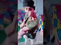 مهرجان عركه دم زي البركه الامريكاني 