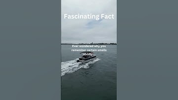 Ever Wondered? The Science Behind Why Certain Smells Trigger Vivid Memories