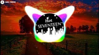 SEVENTEEN - HOT (Remix) Music Forever