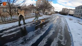 БАХМУТ | Останній раз, коли рятувальники змогли заїхати в місто-фортецю, щоб врятувати тварин