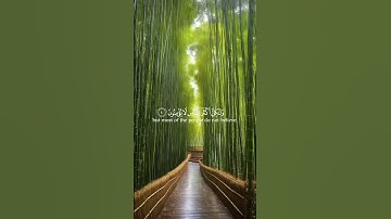 سورة الرعد للشيخ هزاع البلوشي