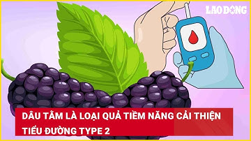 Dâu tằm là loại quả tiềm năng cải thiện tiểu đường type 2| Báo Lao Động