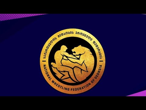 საქართველოს ჭაბუკთა ჩემპიონატი ბერძნულ-რომაულ ჭიდაობაში