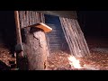 OFF GRID LIVING: Shelter building made of  beech tree deep in the forest of  beech tree. ASMR