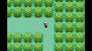 Pokemon Emerald Secret Passage
