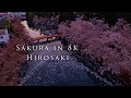 Sakura in 8K- Hirosaki〜弘前公園の桜〜