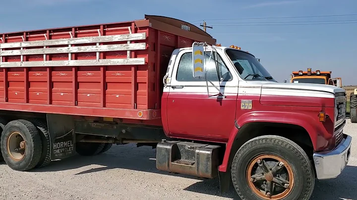 1979 Chevrolet C70 Grain Truck | For Sale | October 18th