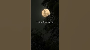 القارئ : ماهر المعيقلي ﴿ وَقَالَ رَبُّكُمُ ادْعُونِي أَسْتَجِبْ لَكُمْ﴾[ غافر: 60]