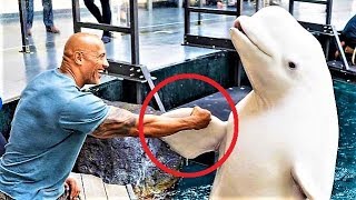 20 Facts About THE ROCK - Dwayne Johnson!