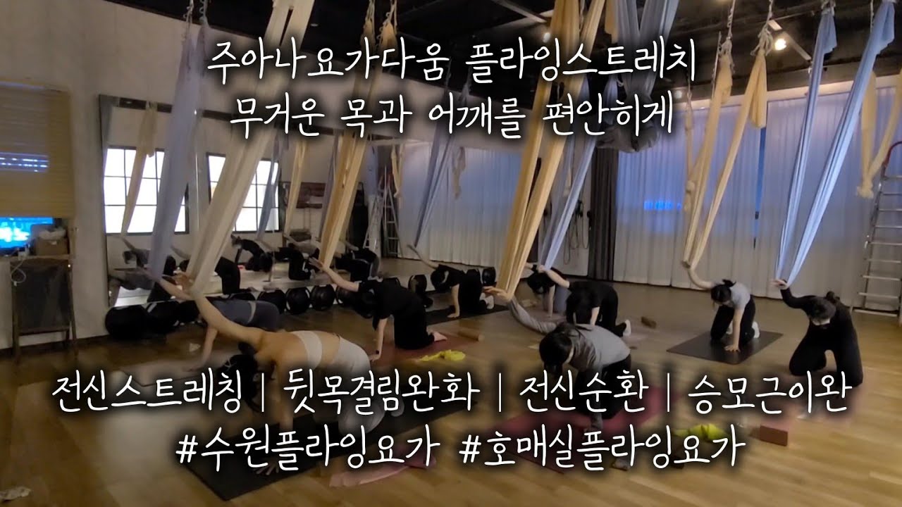 주아나요가다움 플라잉스트레치 무거운 목과 어깨를 편안히게 : 전신스트레칭│뒷목결림완화│전신순환│승모근이완 #수원플라잉요가 #호매실플라잉요가