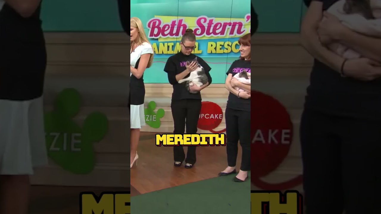 A kitten surprise gift_! 