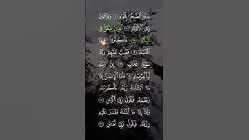 سورة الفجر الشيخ ماهر المعيقلي #القران_الكريم
