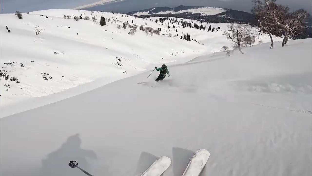 POV Skiing Deep Powder in Gulmarg, Himalayas
