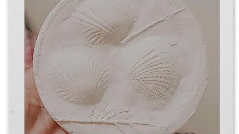 HOW TO MAKE FOSSIL USING PLASTER OF PARIS