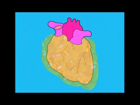 วีดีโอ: การอักเสบของถุงน้ำในหัวใจ (เยื่อหุ้มหัวใจอักเสบ) ในแมว