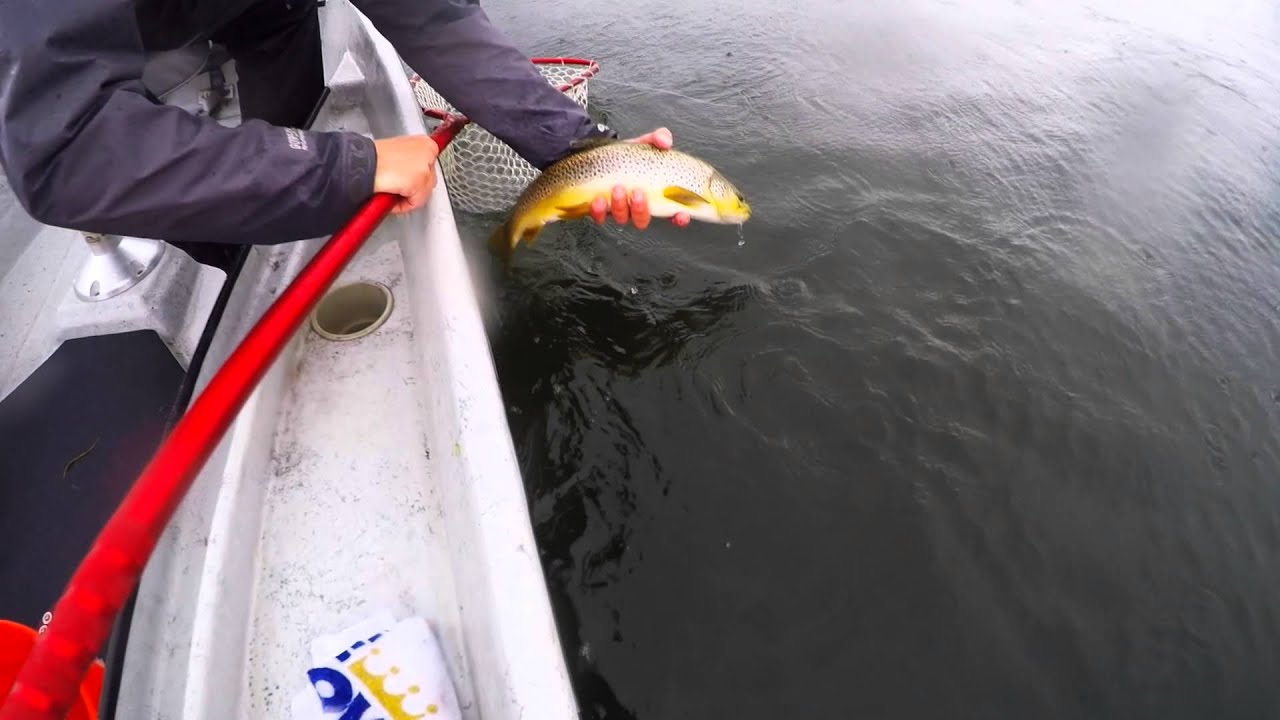 MIssouri River, MT Fly Fishing Trip YouTube